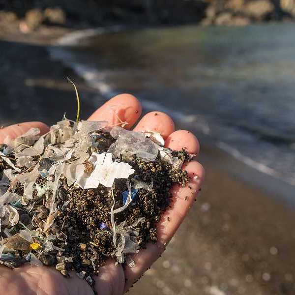 A person holding sand and plastic bits of waste in their hand on a beach