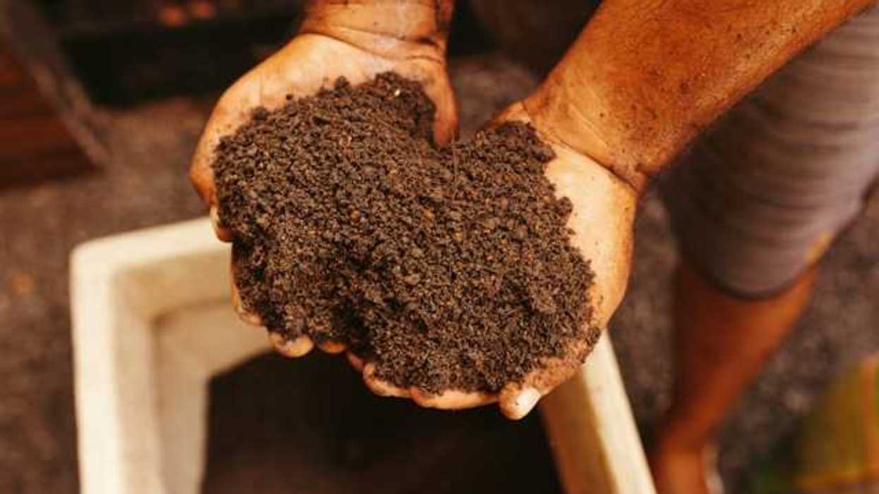A person holding soil in his hands