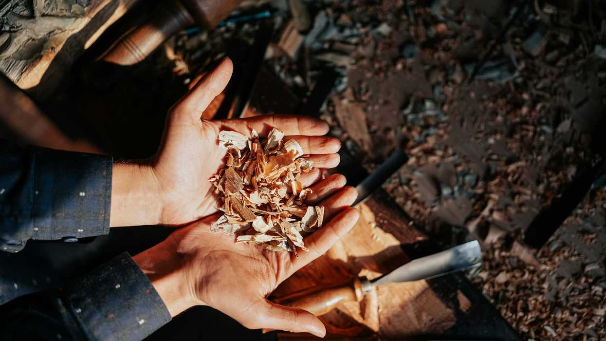 A person holds a pile of wood chips