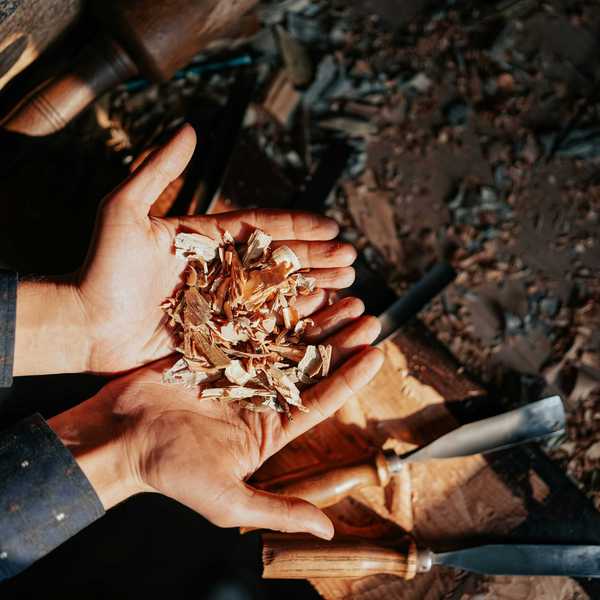 A person holds a pile of wood chips