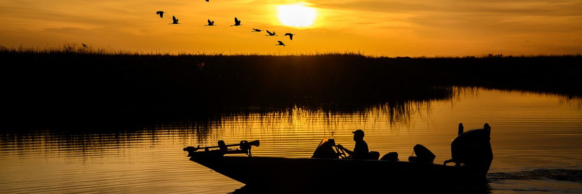 a person in a boat in the water at sunset with birds flying overhead.