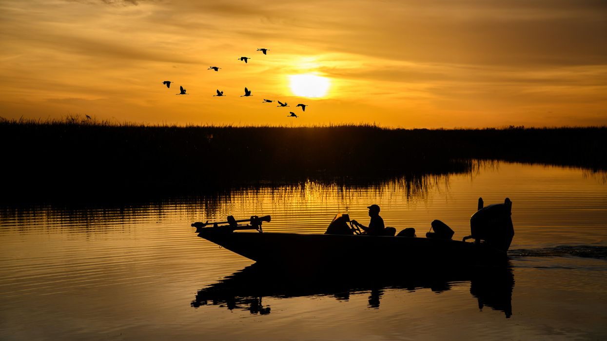 a person in a boat in the water at sunset with birds flying overhead.