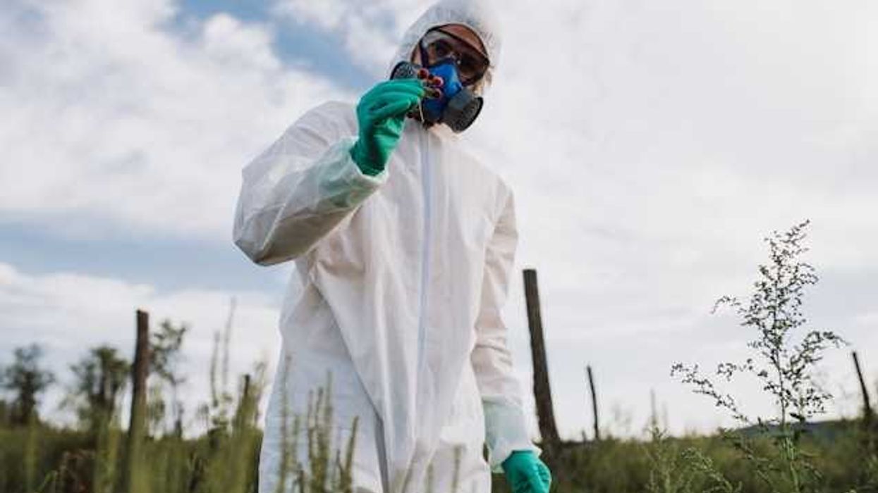 A person in a white hazmat suit in a field looking at plants