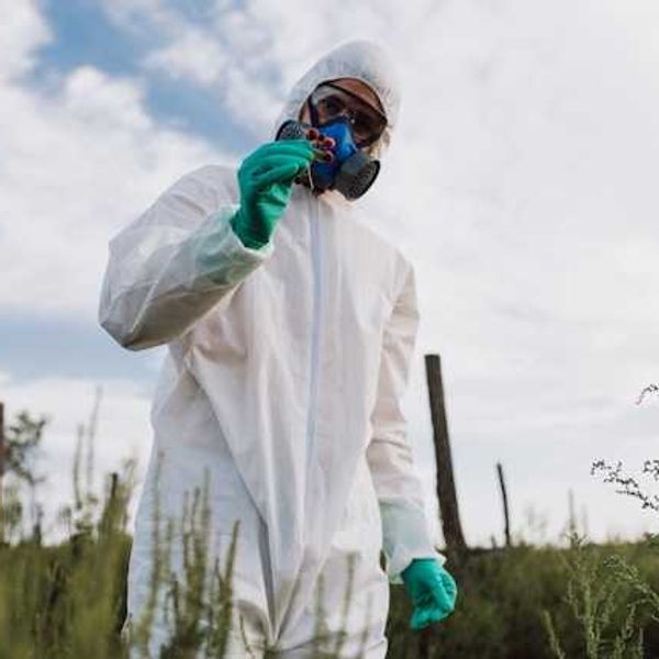 A person in a white hazmat suit in a field looking at plants