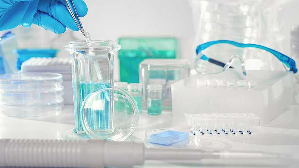 A person putting testing strips into a glass container