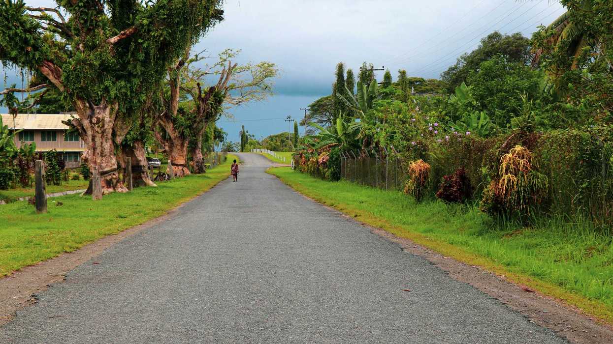 a person riding a bike down the middle of a road surrounded by tropical forest