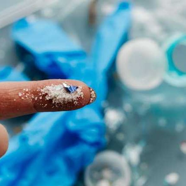 Microplastics in human liver could be fueling global surge in disease