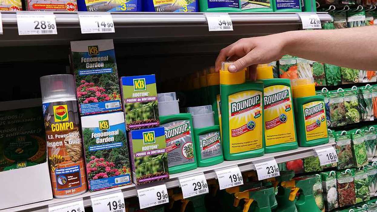 A person selecting a bottle of Roundup from a store shelf