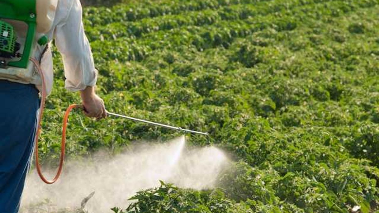photo of WATCH: New studies add to evidence that this pesticide is harming our brains image