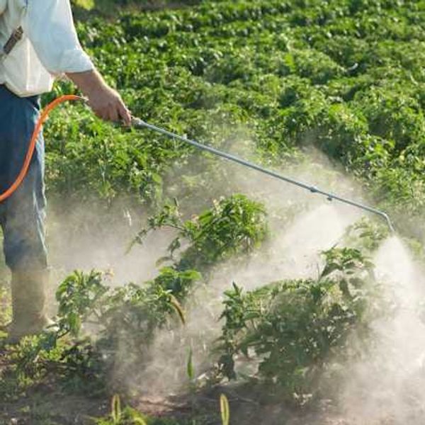 A person spraying pesticides or herbicides on green fields