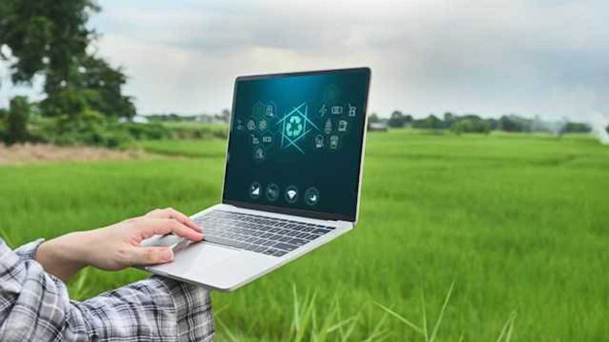 A person using a laptop in a green field