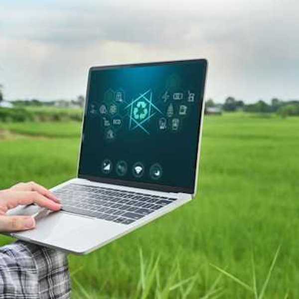 A person using a laptop in a green field
