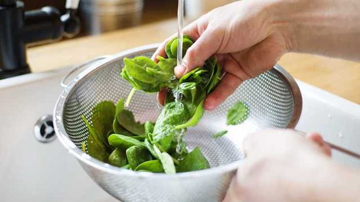 A person washing spinach in a silver colander