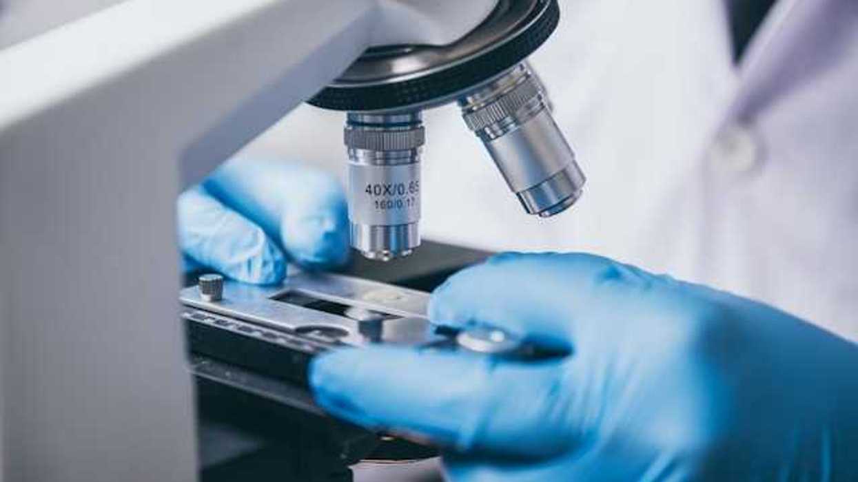 A person wearing blue plastic gloves looking through a microscope