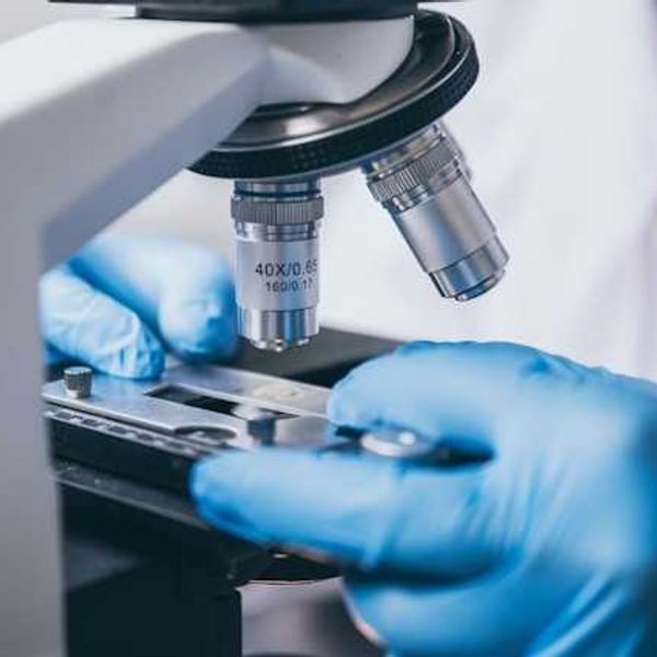 Mount Sinai study uses baby teeth and brain imaging to reveal how early-life metal exposures shape brain development and behavior