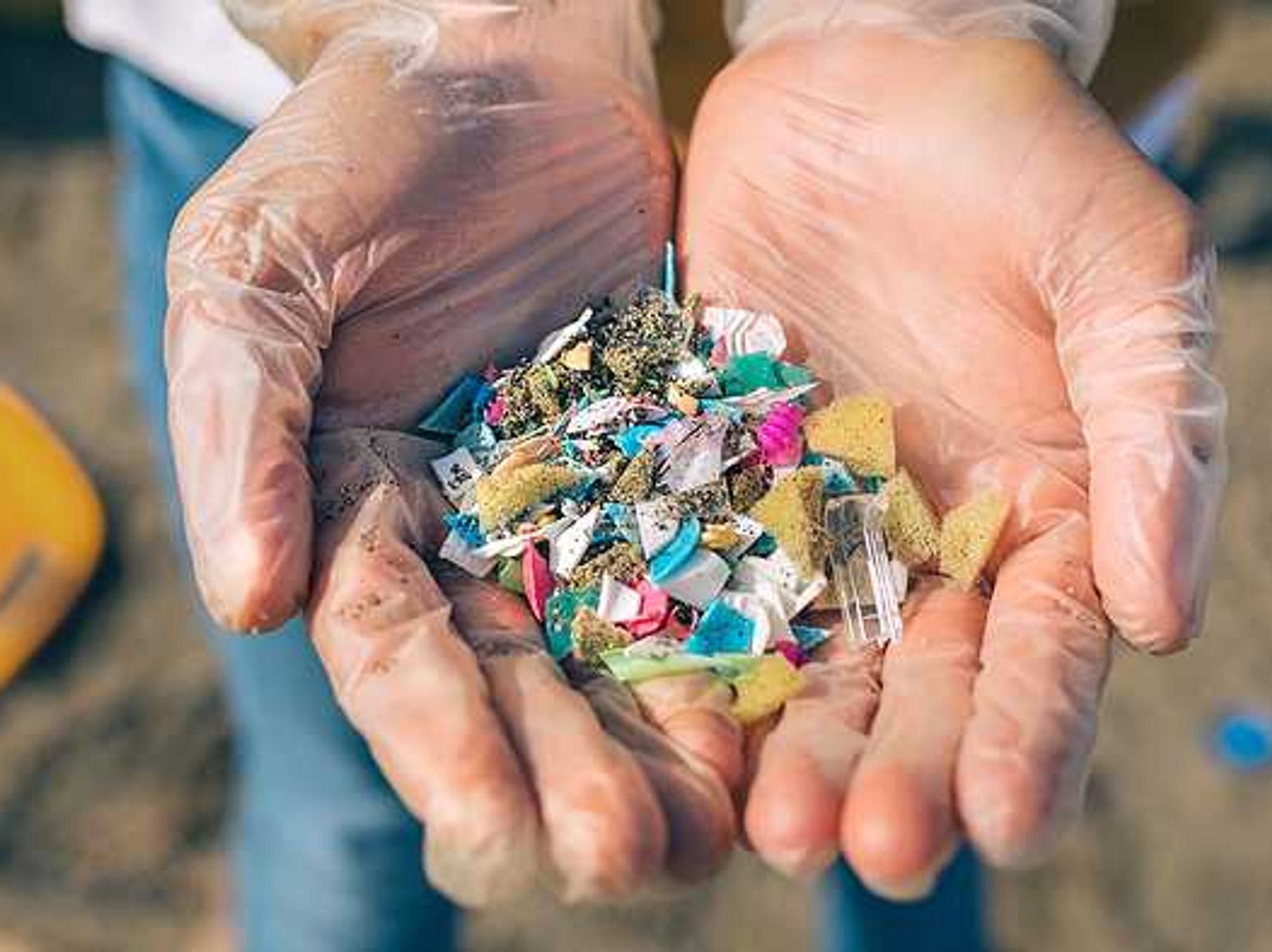 photo of Microplastics research is at the center of a scientific controversy image