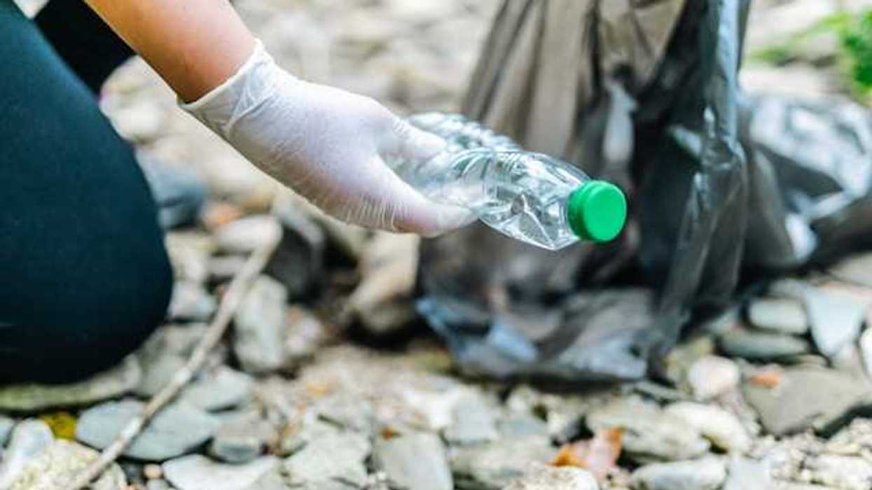 A person wearing plastic gloves picks up a plastic bottle from a rocky beach
