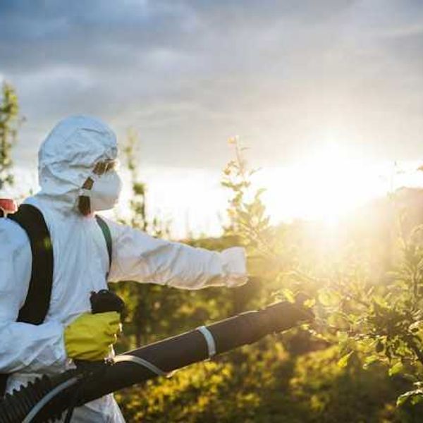 Pesticide pollution persists as officials develop stricter regulations