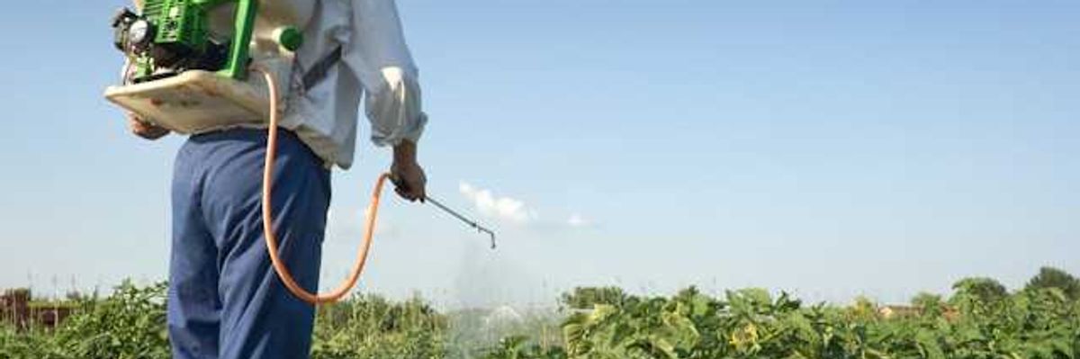 Is there a link between pesticides and cancer? A mixture of chemicals may drive the risk