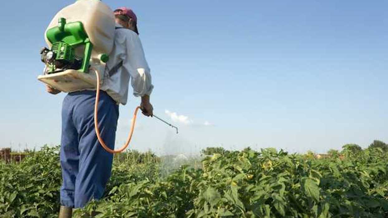 A person with a jug of pesticide liquid on his back spraying liquid onto a field