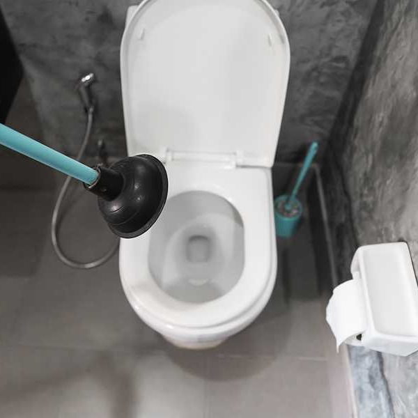 A person with a toilet plunger above a toilet