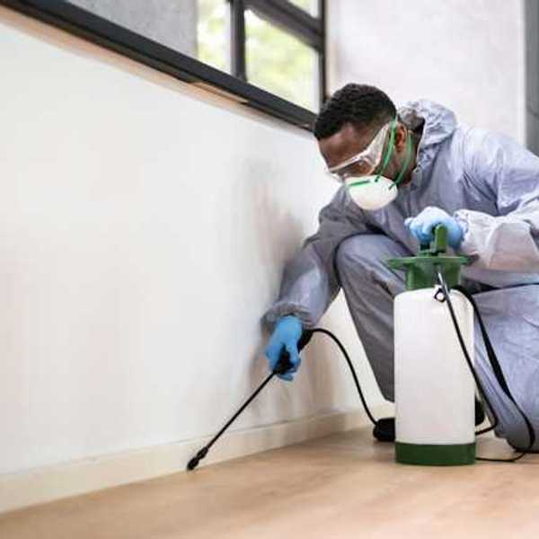 A pest-control operator spraying the inside of a home