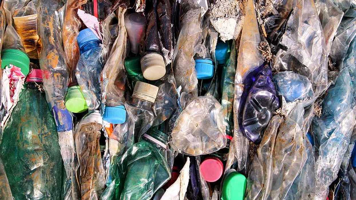 A pile of crushed plastic bottles ready for recycling