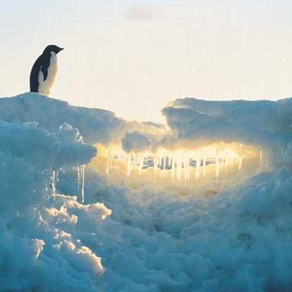 A pile of ice with the sun shining through it with a penguin standing at the top