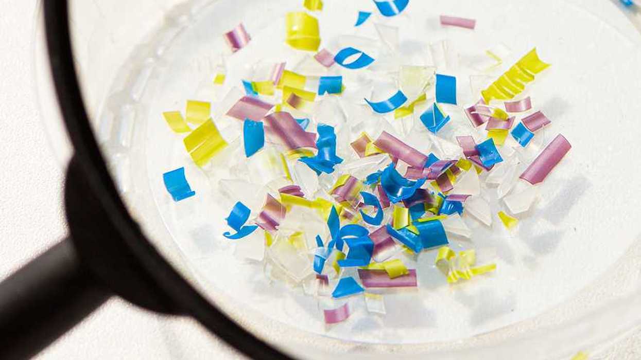 A pile of small pieces of multicolored plastic under a microscope