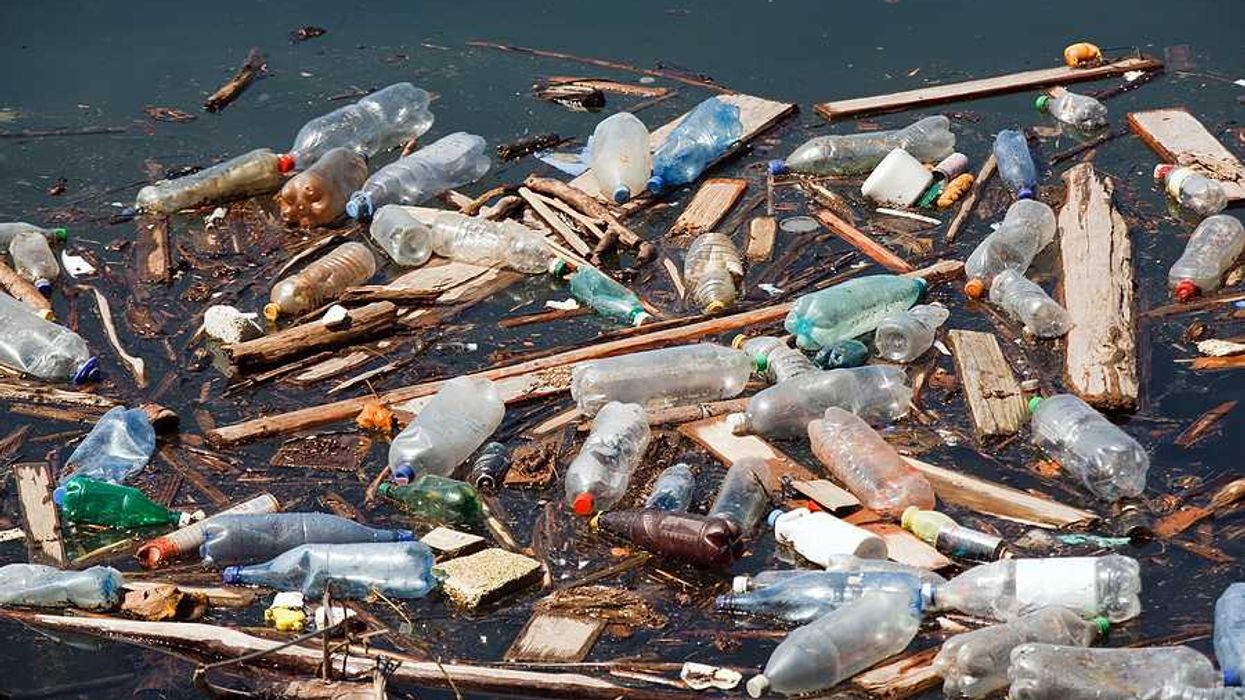 A pile of trash, including plastic bottles, floating in a water source