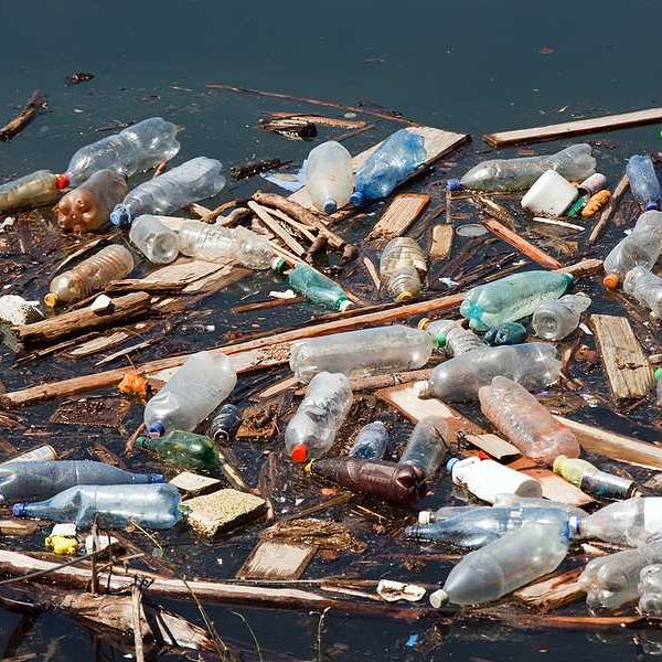 A pile of trash, including plastic bottles, floating in a water source