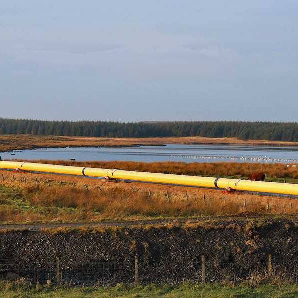 A pipeline stretching across a wetlands area with a lake in the background
