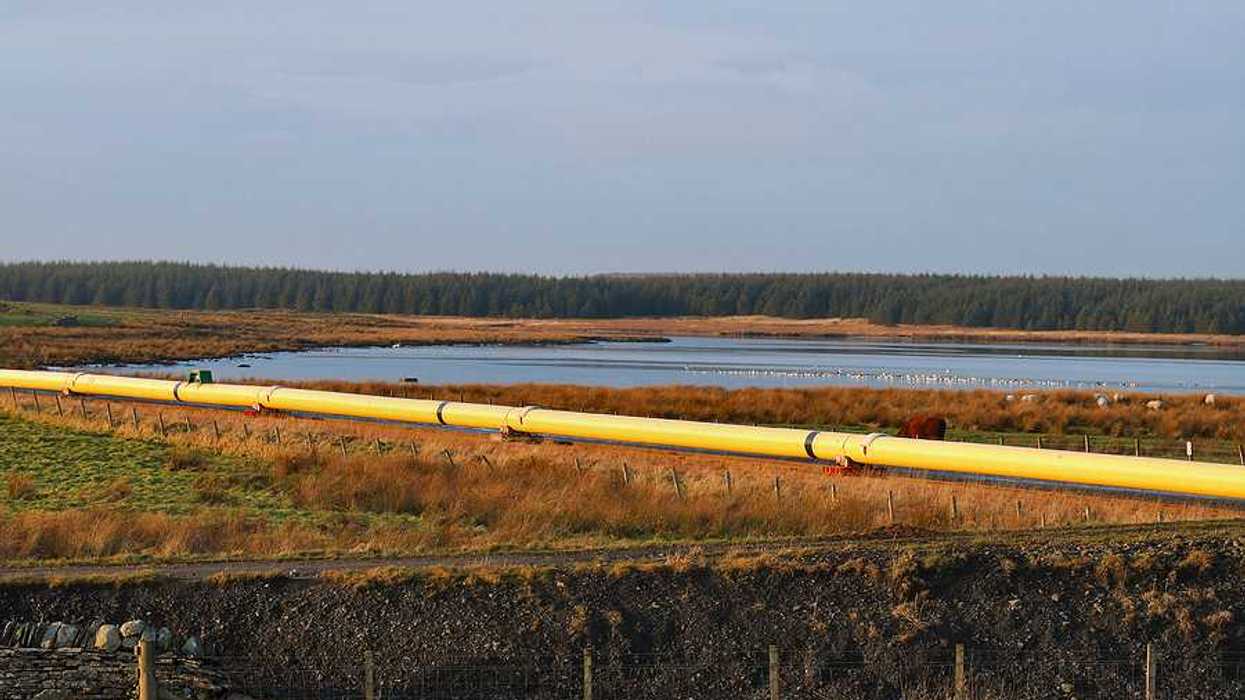 A pipeline stretching across a wetlands area