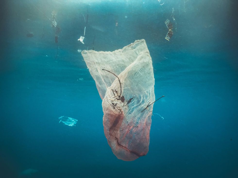 a plastic bag floating in the water with a lobster inside.