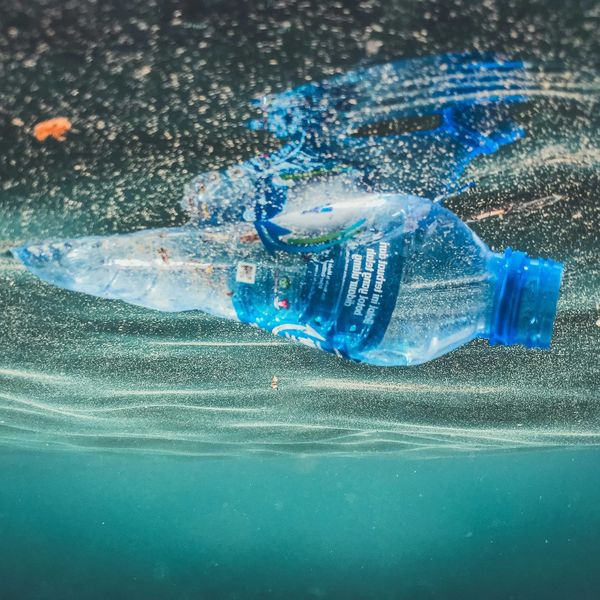 a plastic bottle floating in the water
