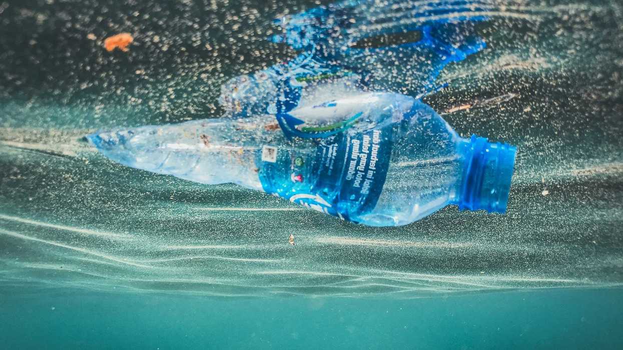 a plastic bottle floating in the water.