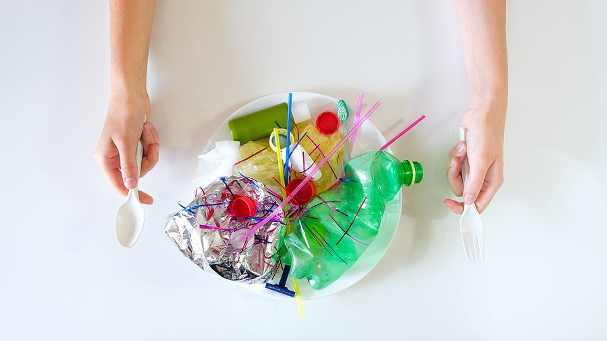 A plate with various pieces of colored plastic on it.
