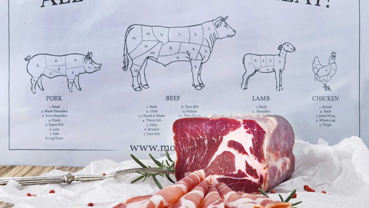 A poster that says All You Need is Meat with a plate of meat in front of it