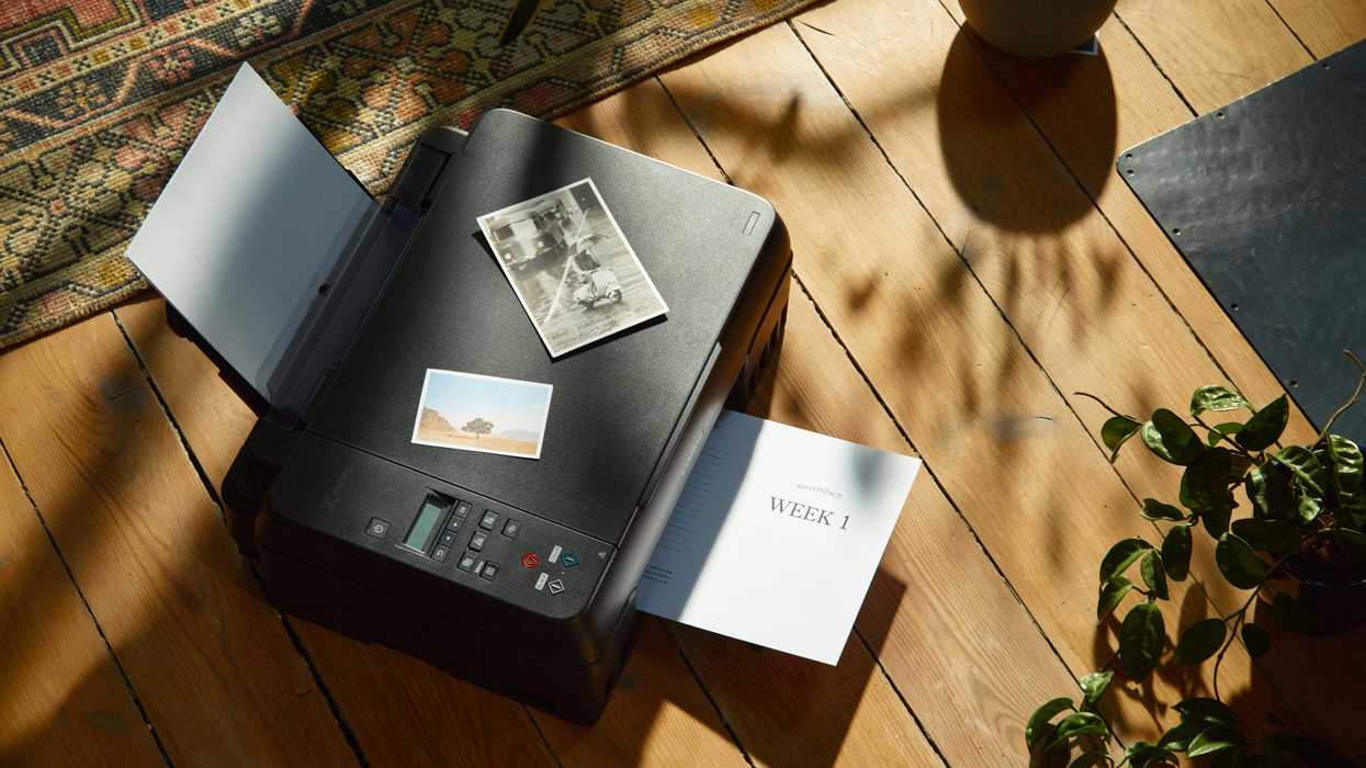 a printer sitting on top of a wooden floor next to a potted plant.