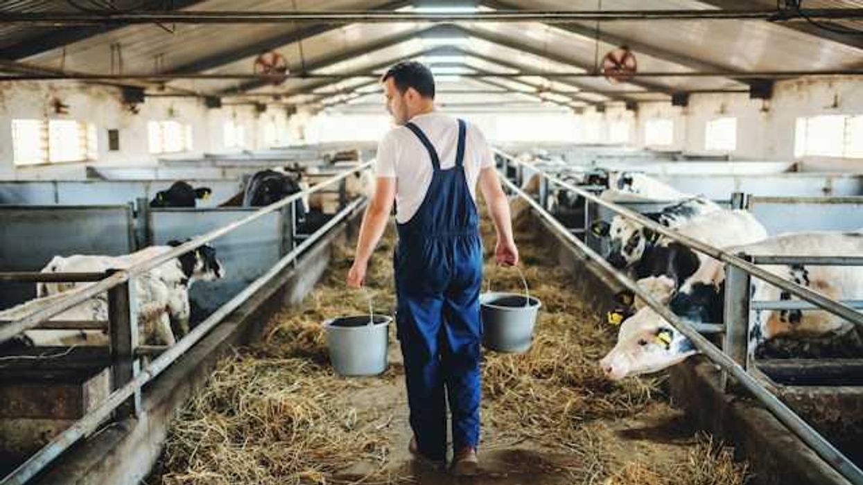Why beef prices keep rising as drought shrinks US cattle…