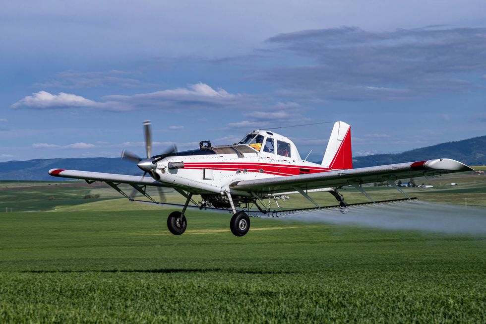 A red and white cropduster plane flies low over a green field, spraying pesticides.