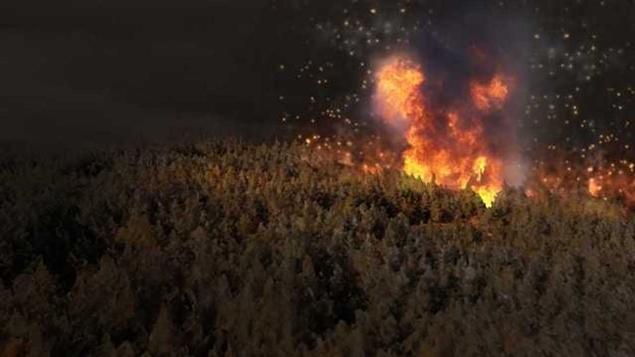 A rendering of a coniferous forest at night with a wildfire happening in the distance
