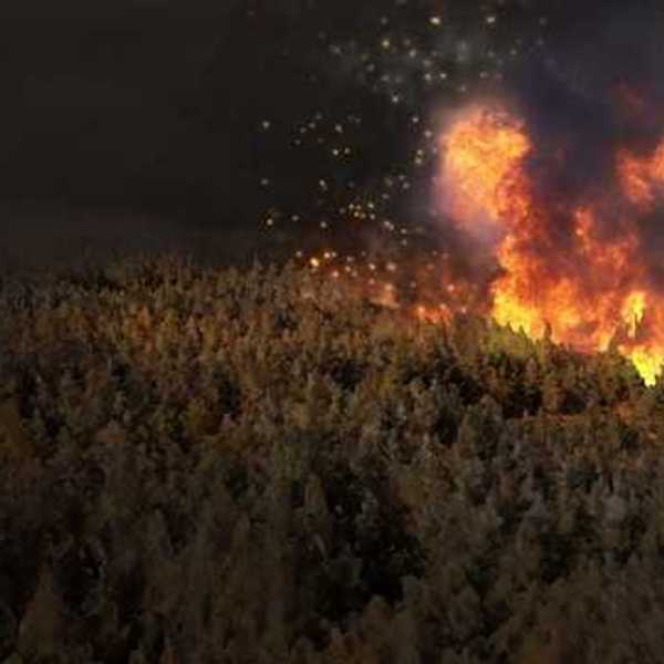 A rendering of a coniferous forest at night with a wildfire happening in the distance