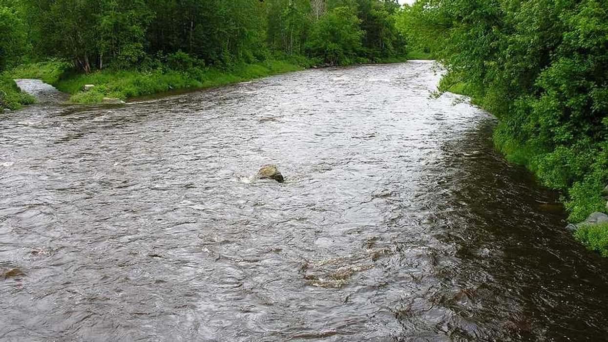 A river flowing between green forested banks