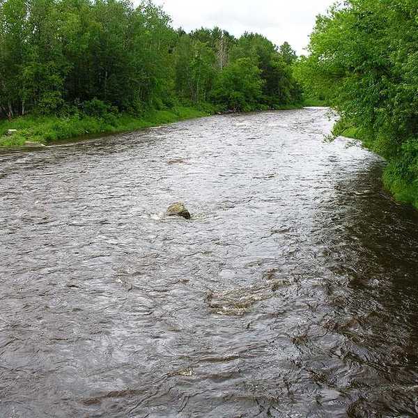 A river flowing between green forested banks
