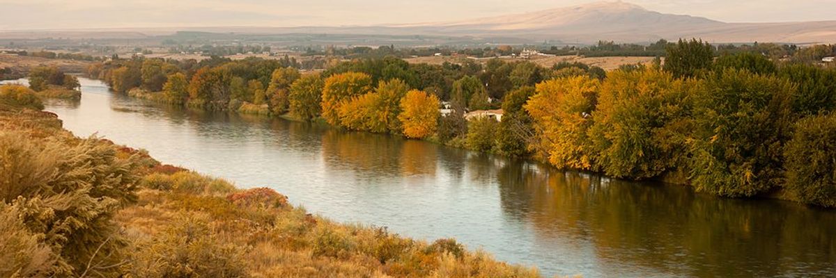 A river lined with trees and bushes with a town in the distance