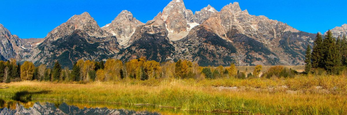 A river or pond with the reflection of green grasses and spectacular mountains in the distance.