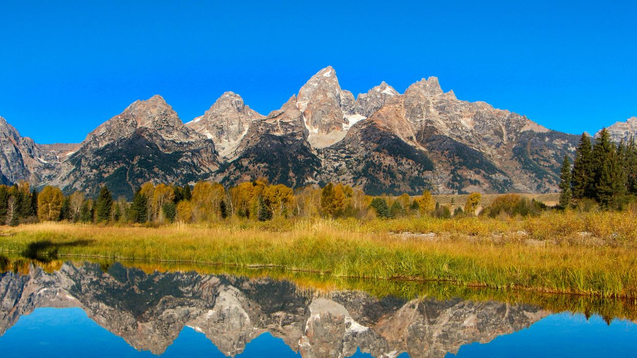 A river or pond with the reflection of green grasses and spectacular mountains in the distance.