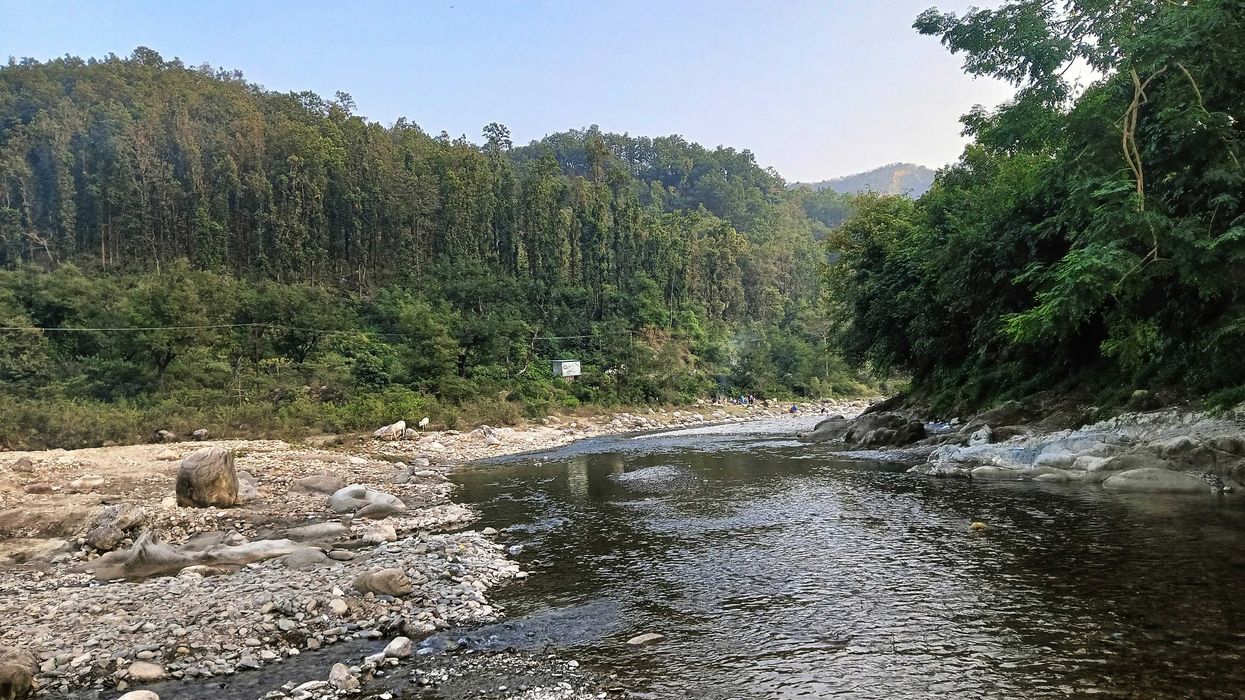 a river running through a lush green forest