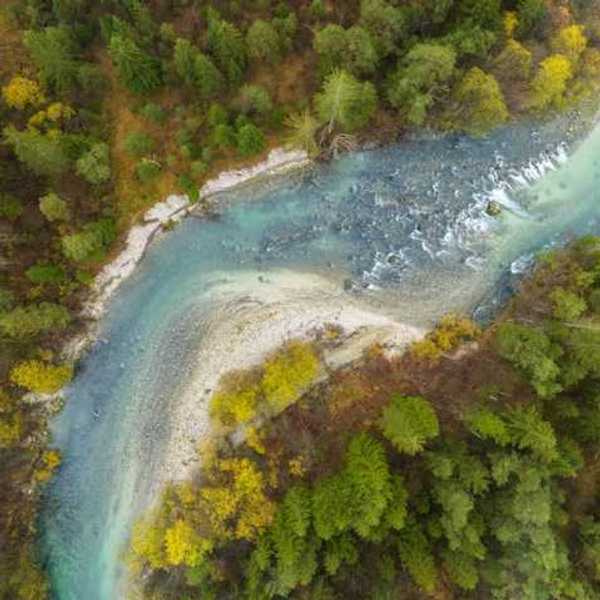 A river running through a lush green forest
